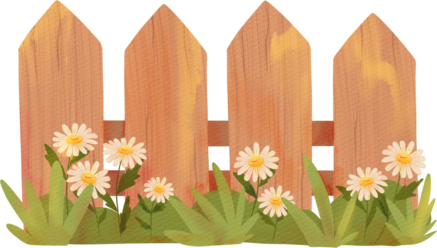 Wood Fence with Daisy Watercolor Illustration